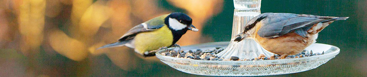 ASHGREY CO.,LTD. 株式会社アッシュグレイ プライバシーポリシー